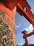 miyajima.JPG